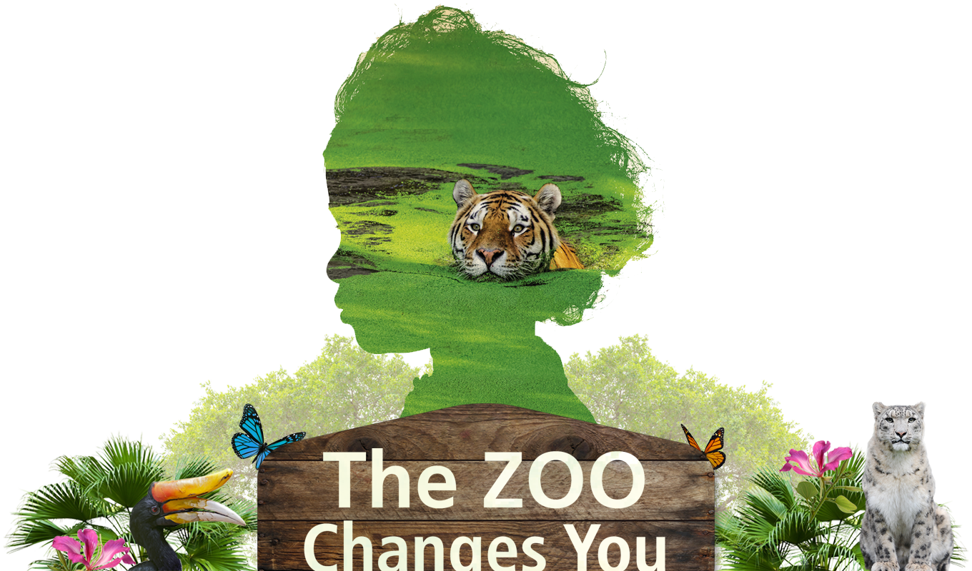 The Zoo Changes You